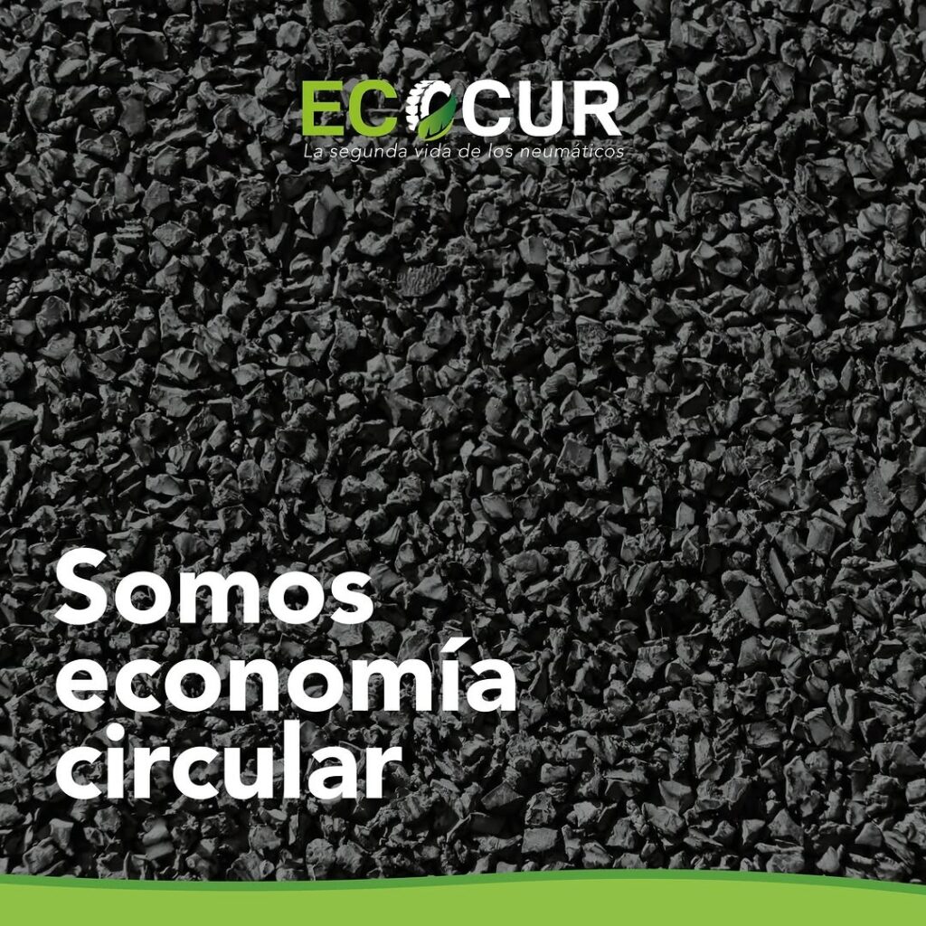 Cómo Implementar un Programa de Reciclaje Eficiente en Tu Empresa