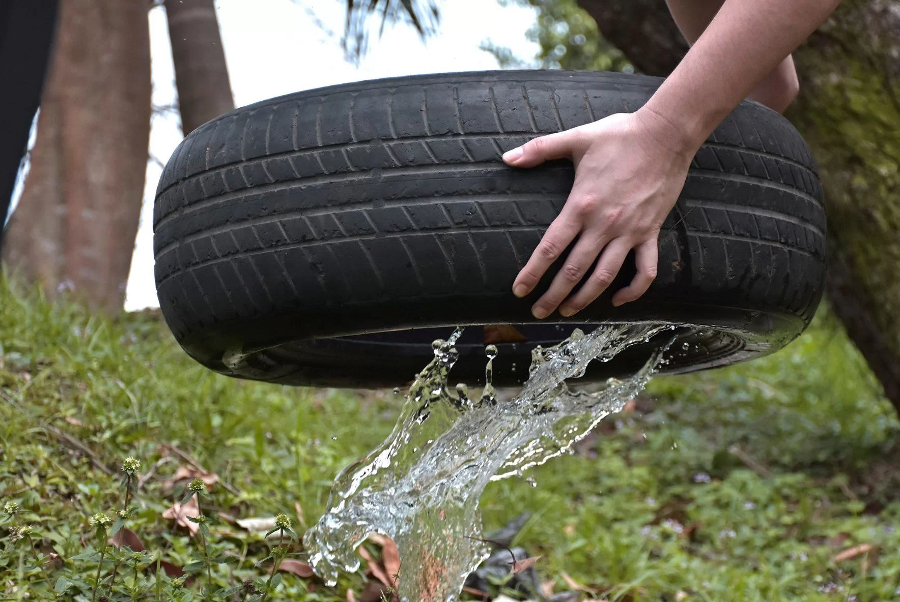 Neumático fuera de uso antes de ser reciclado